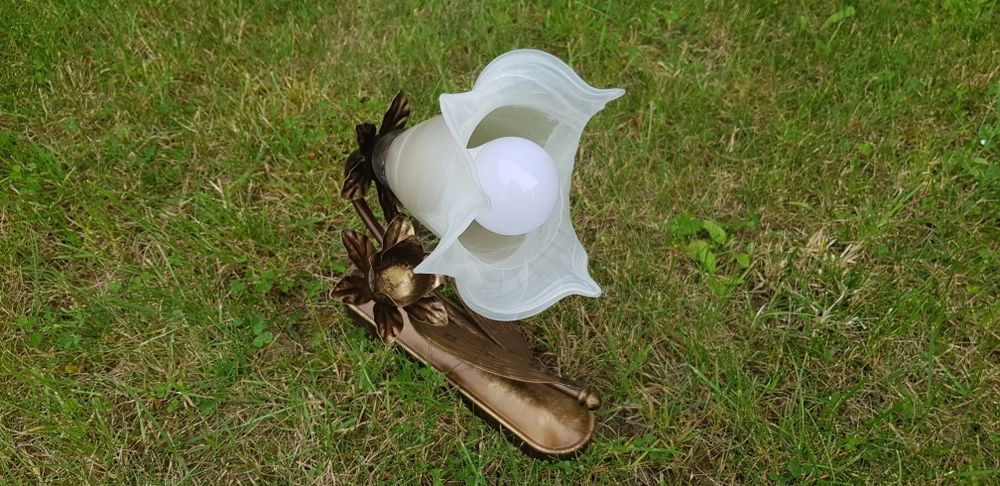 Stylowy żylandor + kinkiet