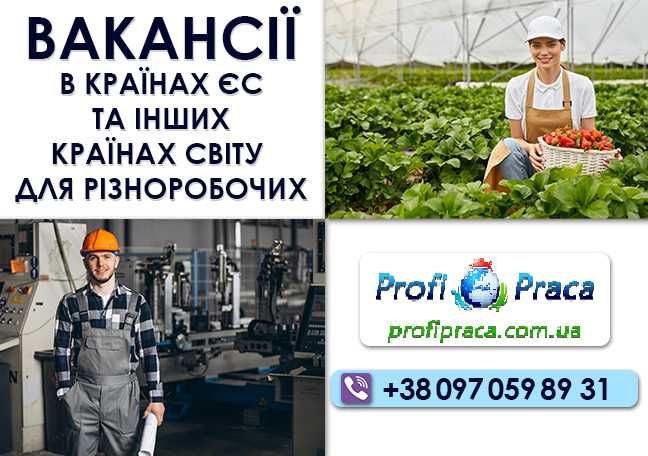 Виза, карта побыта, легализация и работа в Европе