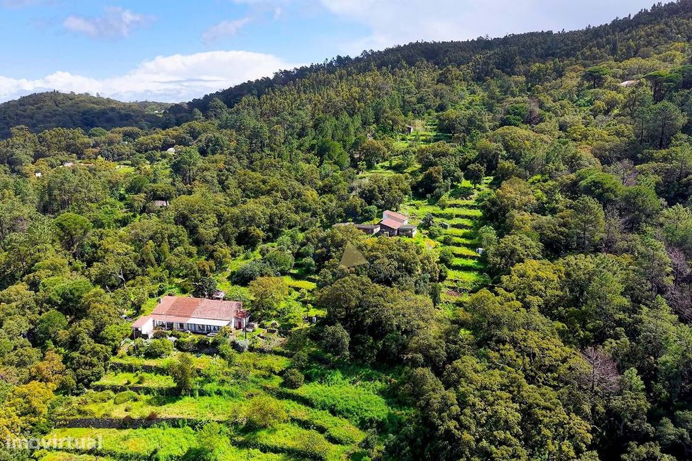Quintinha T2  com Vista Panorâmica e Deslumbrante  para a serra em Mon