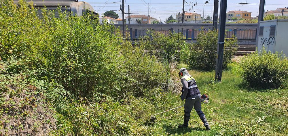 Limpeza de terrenos/desmatação LISBOA e arredores