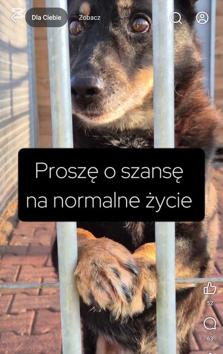 Derbi blaga o dom, ma czas do końca roku