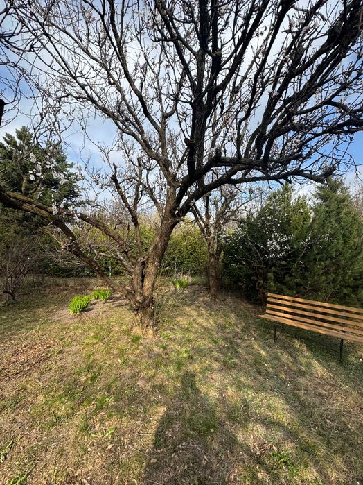 Działka ROD Fort Szczęśliwice 300 m² | woda, prąd, świetny dojazd, atrakcyjna cena! - Ansicht 4