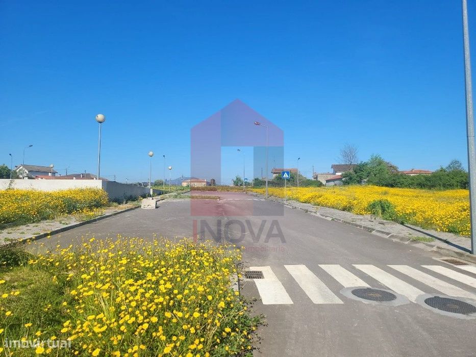 Lote Banda, Loureira