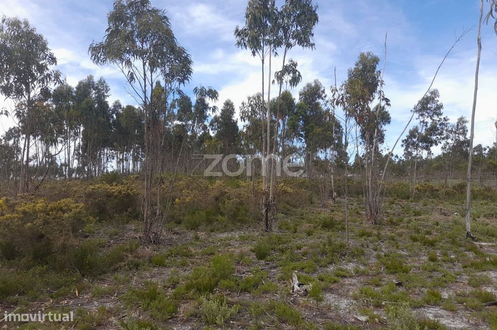 Terreno Rustico com 12580m2