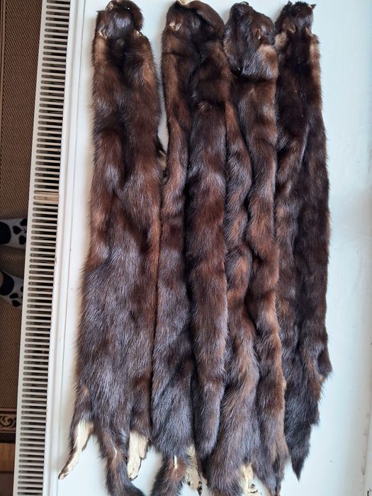 Хутро норки часів СРСР