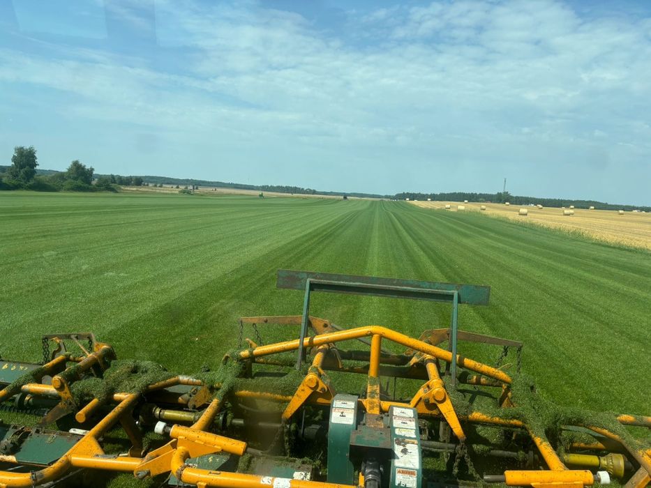 Trawa z rolki trawnik w rolce producent