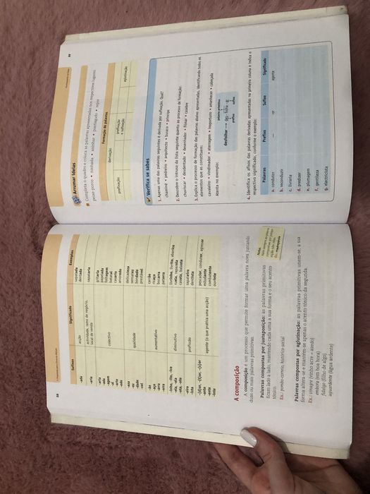 Manual Apoio Língua Portuguesa 6° Ano