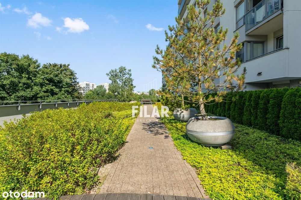 Awiator, hala, balkon, trzy pokoje