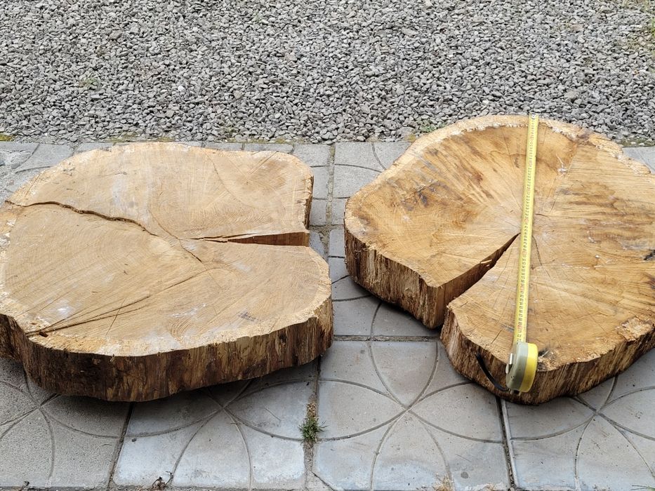 Duże plastry dębu sezonowane 6 lat – blat na stół, stolik, ławę – grubość ok. 15 cm