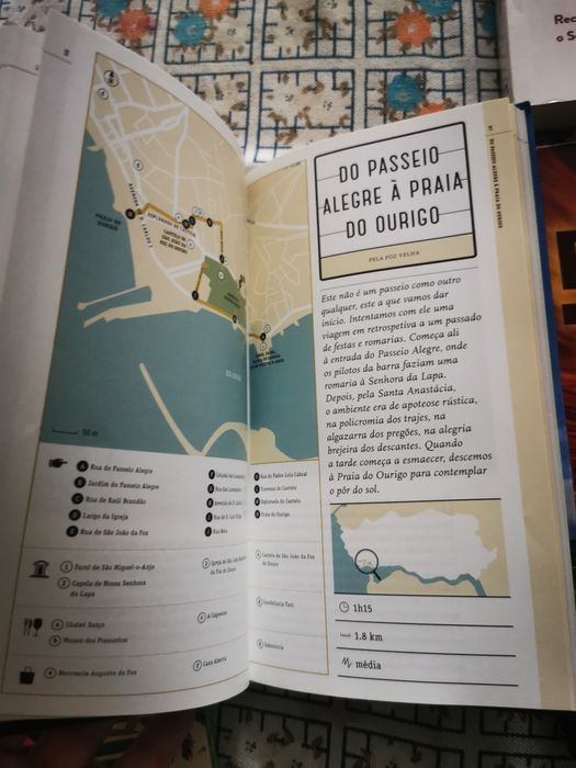 Guia/Livro Caminhar pelo Porto. Germano Silva.