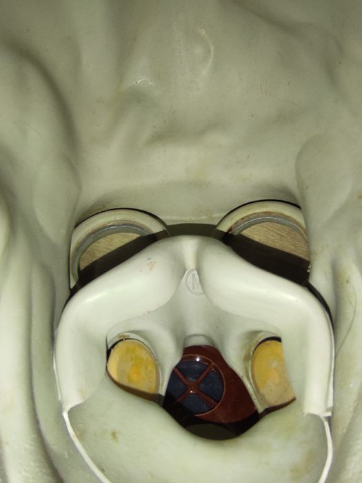 Пбф хом'як  только обмен