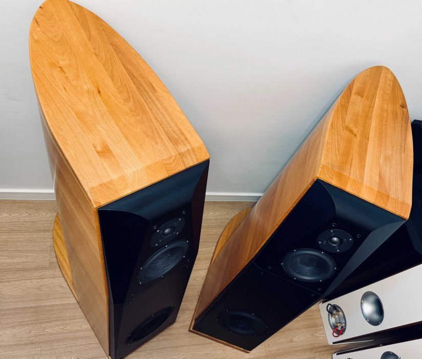 Usher CP-8571 Dancer — тайваньский Hi-End, кроссовер от Dr. Joseph D'Appolito ℹ️ напольная трёхполоска 80 кг, награда TAS Golden Ear | 9 из 10, пара