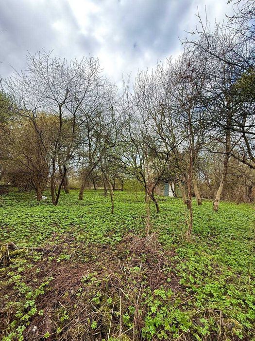 Продаж земельної ділянки у Львові, Клепарів, Шевченківський район