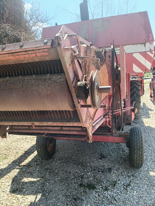 Sieczkarnia Massey Ferguson MF kombajn zbożowy Massey Ferguson
