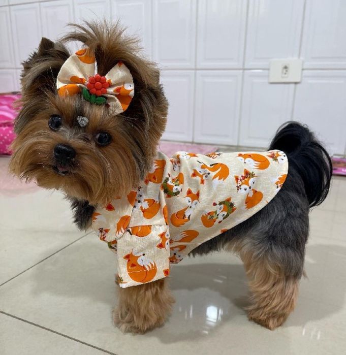 Сонечка які зігріють , вашу домівку