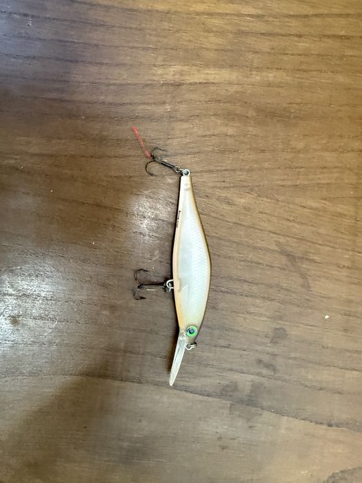 Amostra Rapala como nova