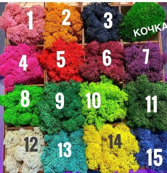 мох стабилизированный ягель, Норвежский мох для декора