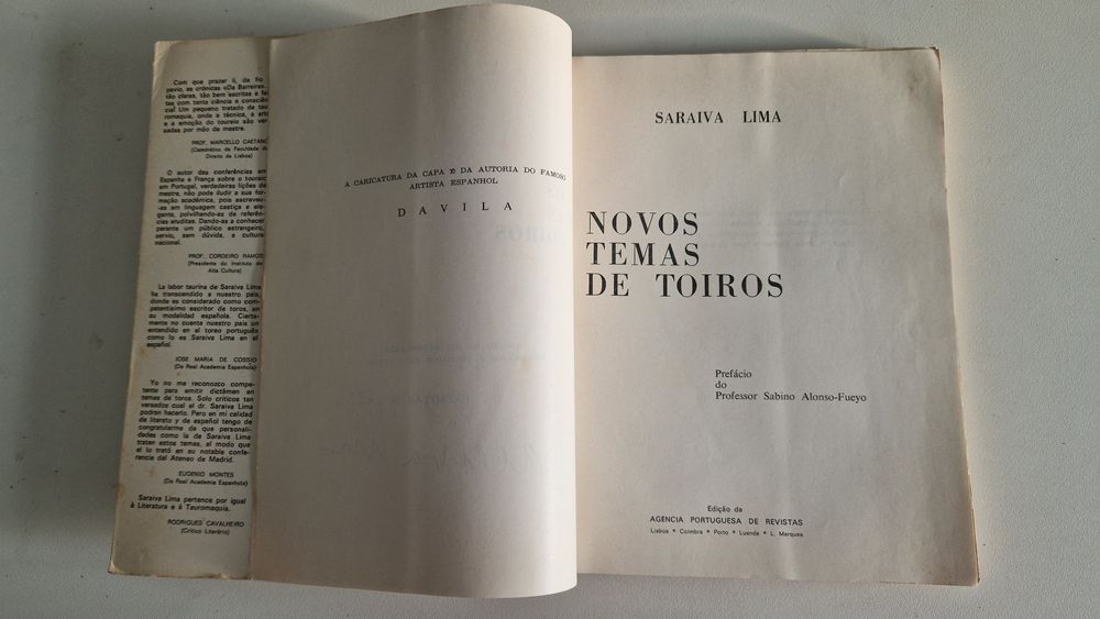 Livro Novos Temas de Toiros
