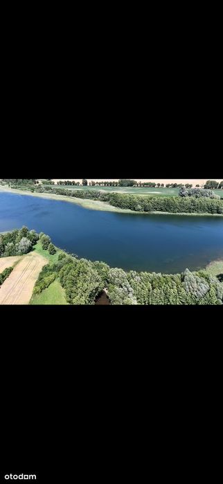 Siedlisko, działka 4181 m² z linią brzegową Ostrowite Prymasowskie - Widok 4