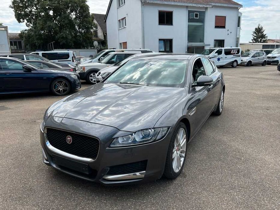 Бампер JAGUAR XF X260 запчастини розборка Ягуар іксф ікс260 шрот