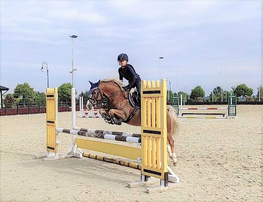 Super kuc grupa A2/C. Cena podana w Euro.