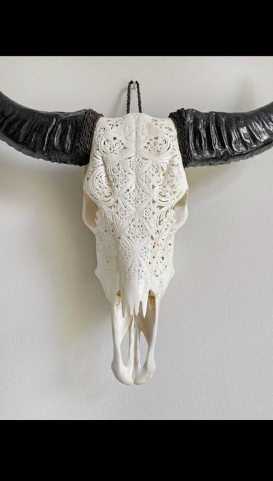 Crânio de búfalo esculpido à mão