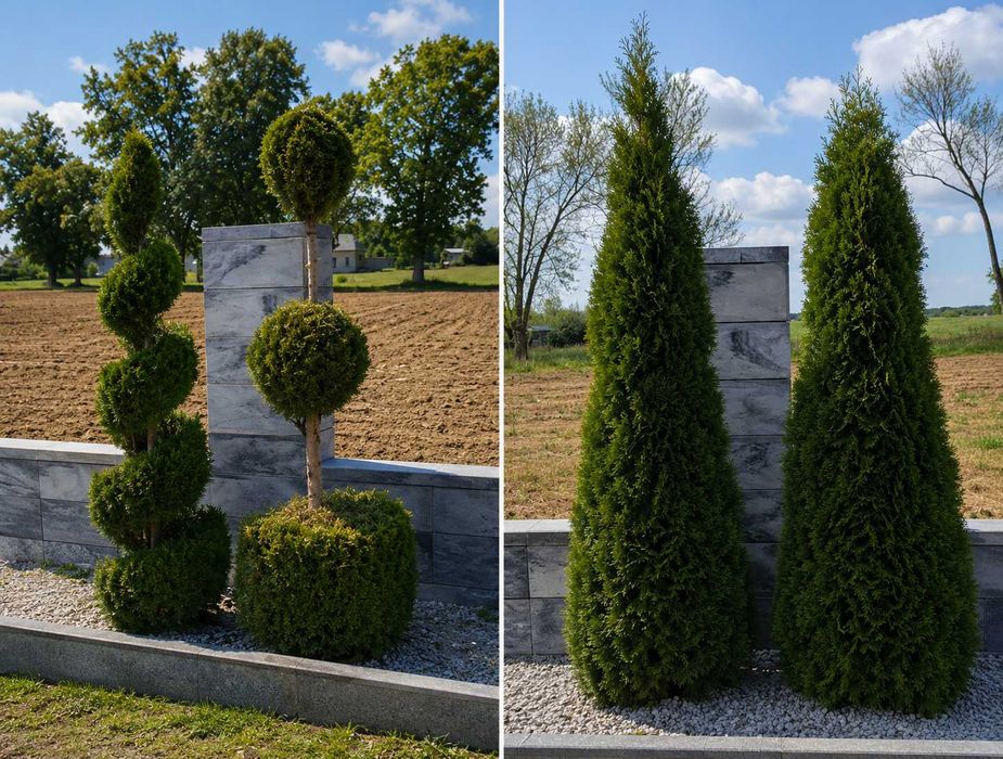 Wycinka i przycinka drzew, krzewów + rozdrabnianie gałęzi