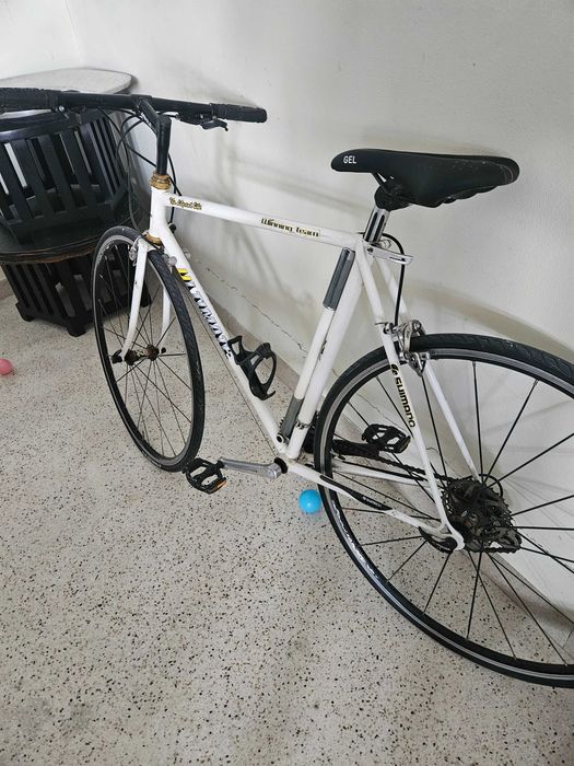 Bicicleta de Pista