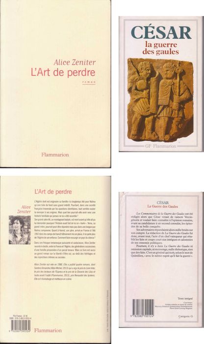 Livros em Língua Estrangeira – Castelhano, Francês, Inglês, Italiano