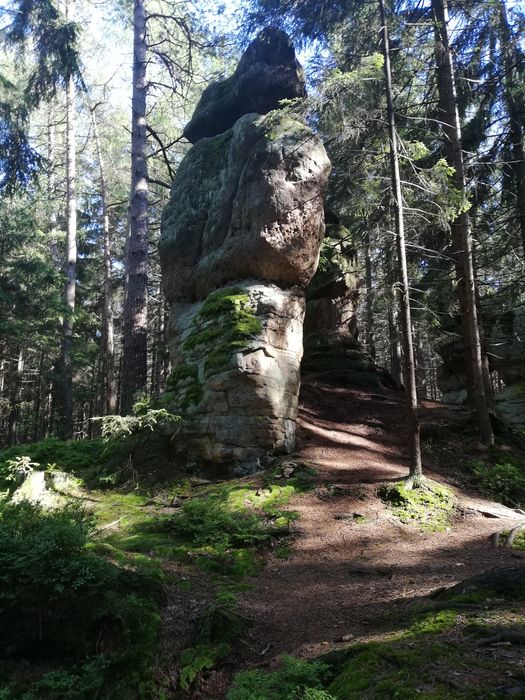 Pokoje Radków zalew