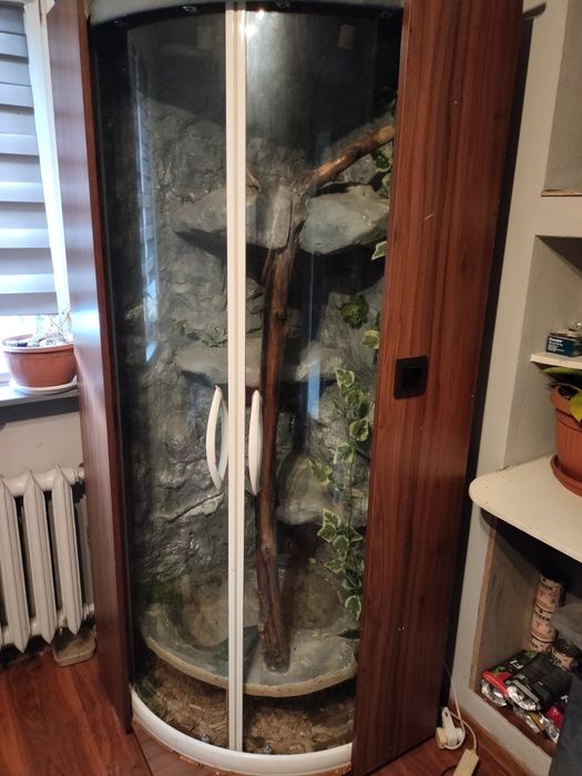 Sprzedam duże terrarium narożne