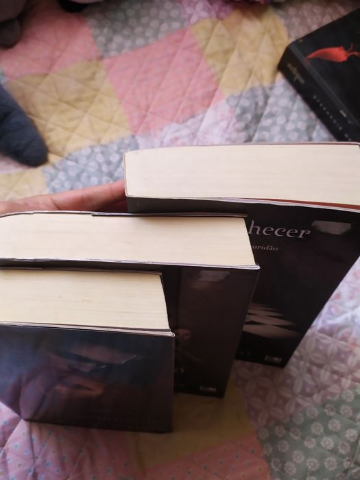 Livros da saga "Crepúsculo" de Stephenie Meyer