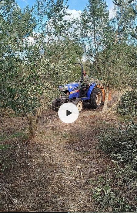 Limpeza de Matas e armazéns / Terraplanagens / Remoção de Entulhos