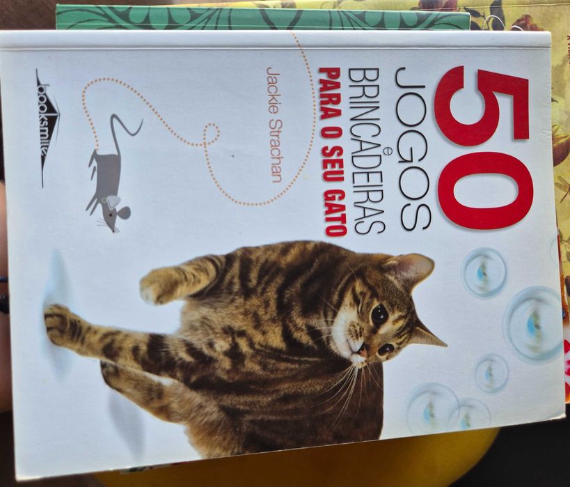 Livro sobre brincadeiras com o teu gato