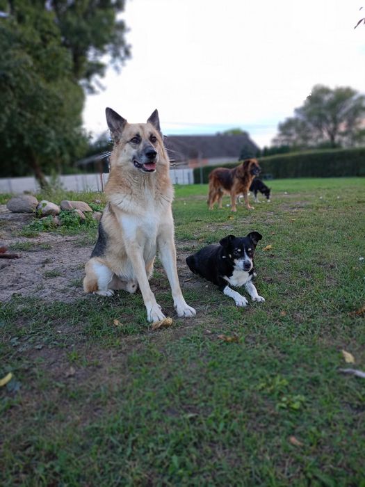 Nierozłączni przyjaciele
