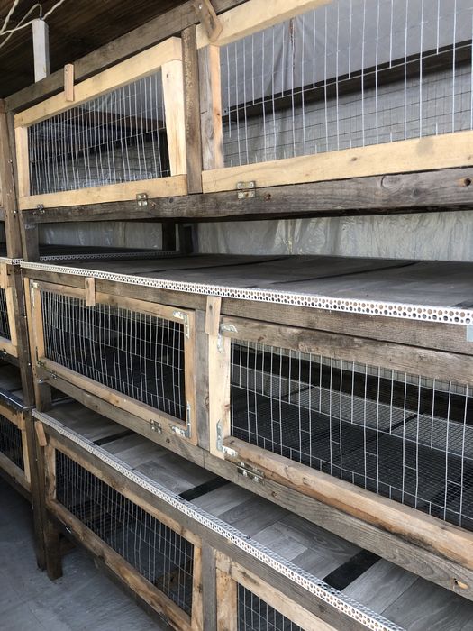 Клетки для бройлеров