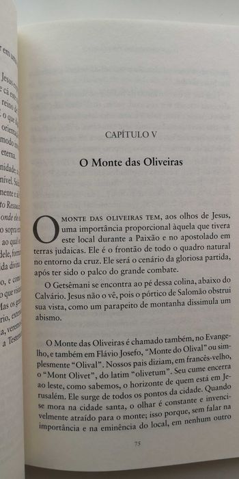 O que Jesus via do alto da cruz - A.D. Sertillanges