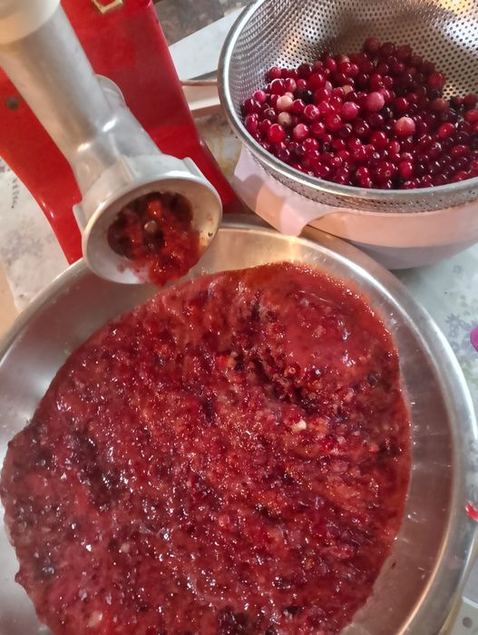 Żurawina bagienna nie gotowana