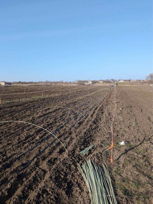 Опори для рослин Композитні Зелені Агро