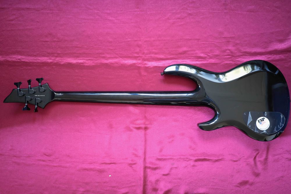 ESP LTD B305 із кейсом