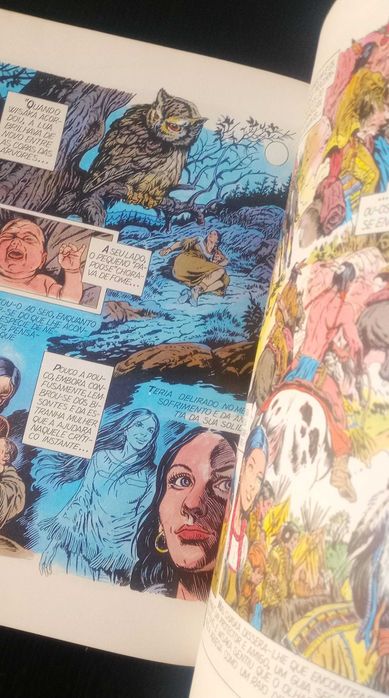 Livro BD Wakantanka - O bisonte negro