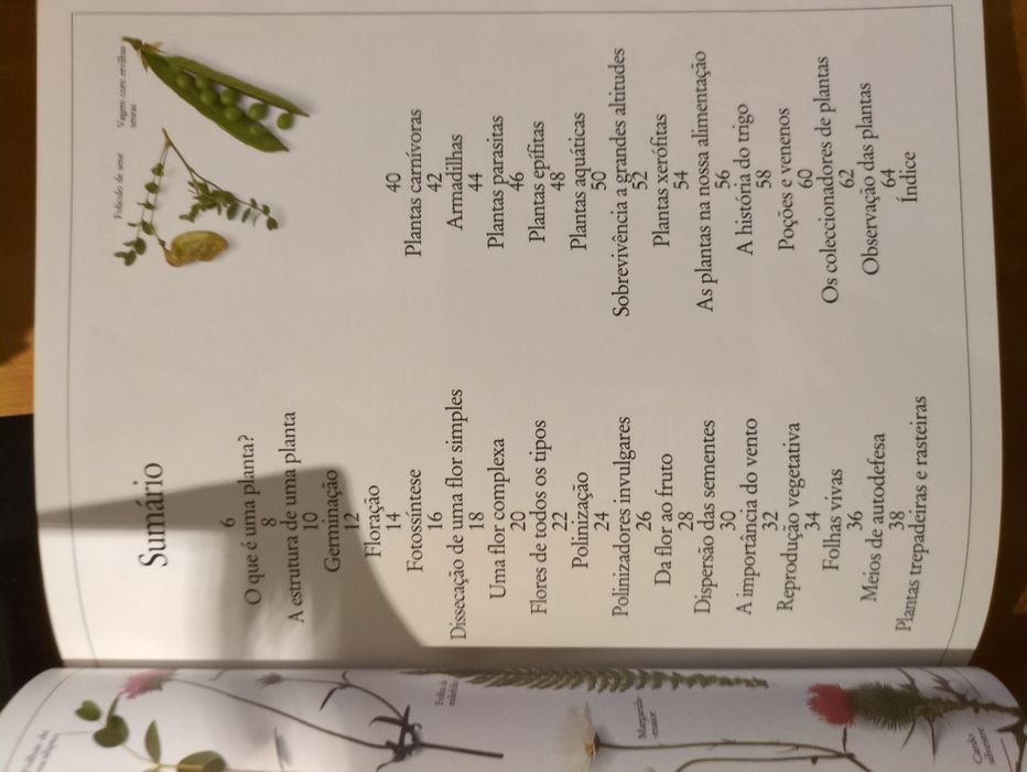 Plantas texto de David Burnie da Editora Verbo