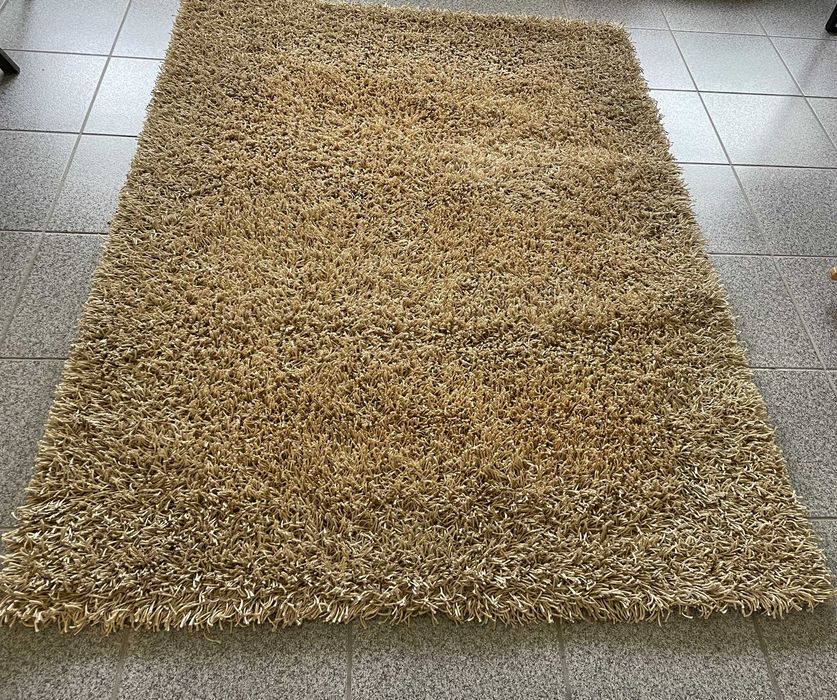 Beige Shaggy-Style Carpet/Rug