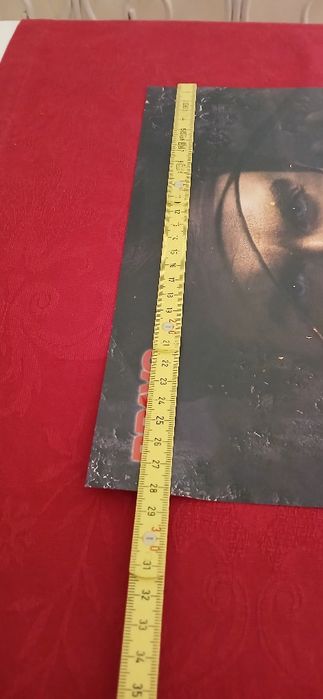Poster Damon The Vampire