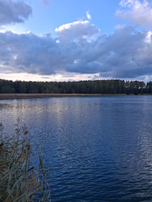 Dzialka budowlana - Widok 5