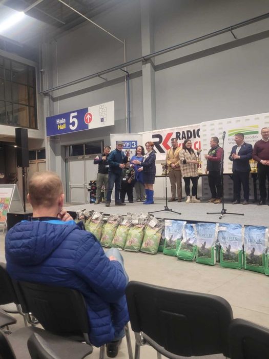 Króliki burgundzkie z rodowodem