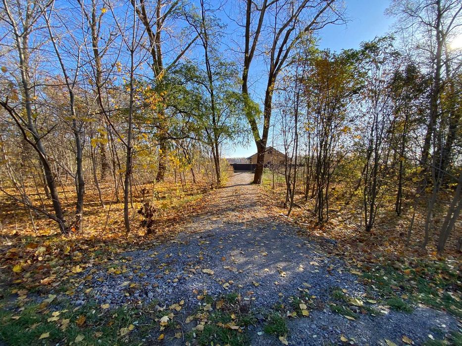 Продається земельна ділянка в Бохониках