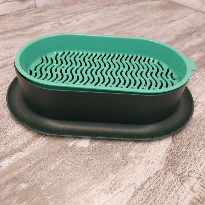 Pojemnik doniczka Na owies rzeżuchę zioła uprawa wodna