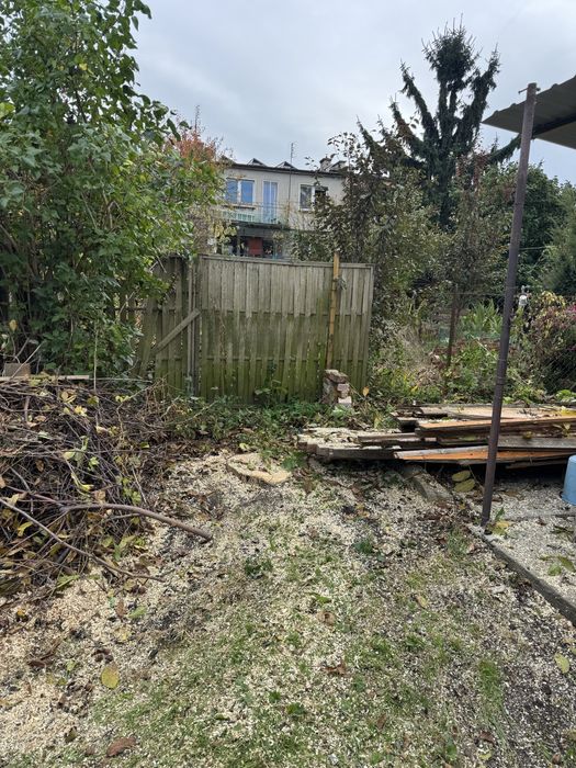 Wycinka drzew, usługi arborystyczne