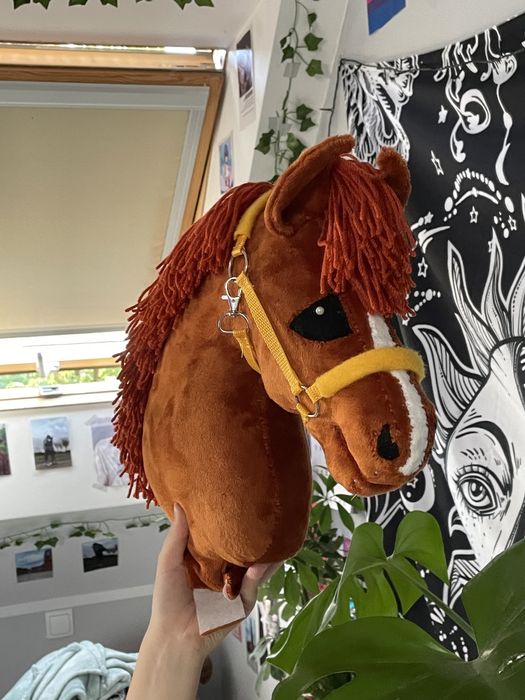 Hobby Horse na sprzedaż! Poznań Grunwald • OLX.pl